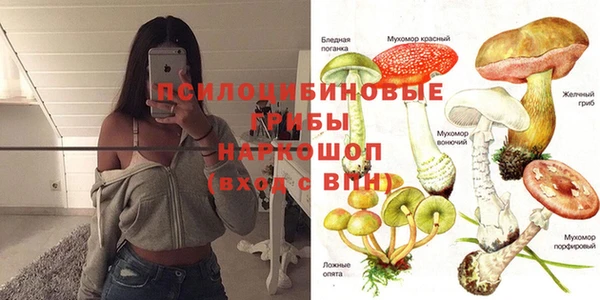 крисы Бугульма