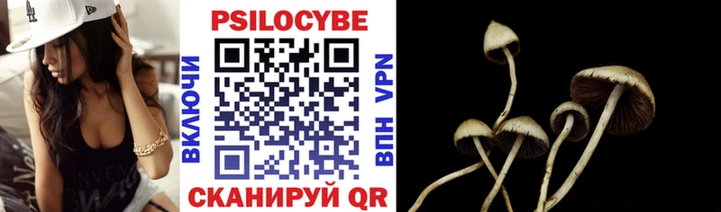 Псилоцибиновые грибы мухоморы  Гудермес 