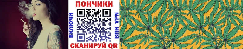 Каннабис ГИДРОПОН Гудермес